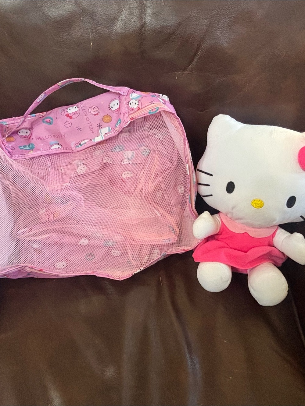 Hello Kitty Pink Mesh storage Bags with Character Print